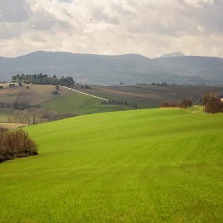 Il Casale Dorato