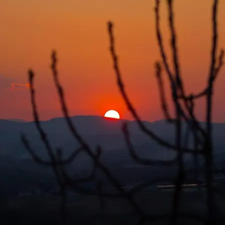 Il Casale Dorato Filottrano
