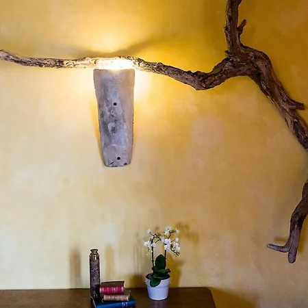 Tatil Evi Il Casale Dorato *