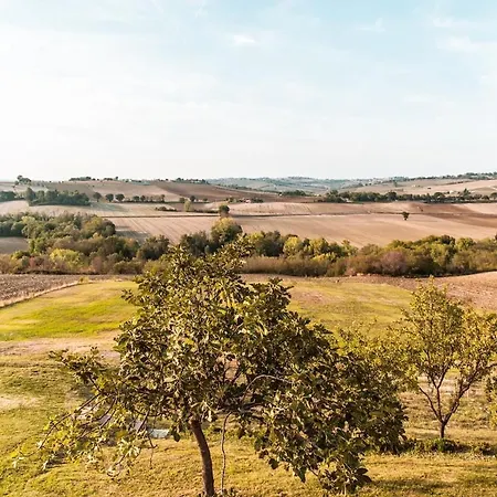 Il Casale Dorato Filottrano